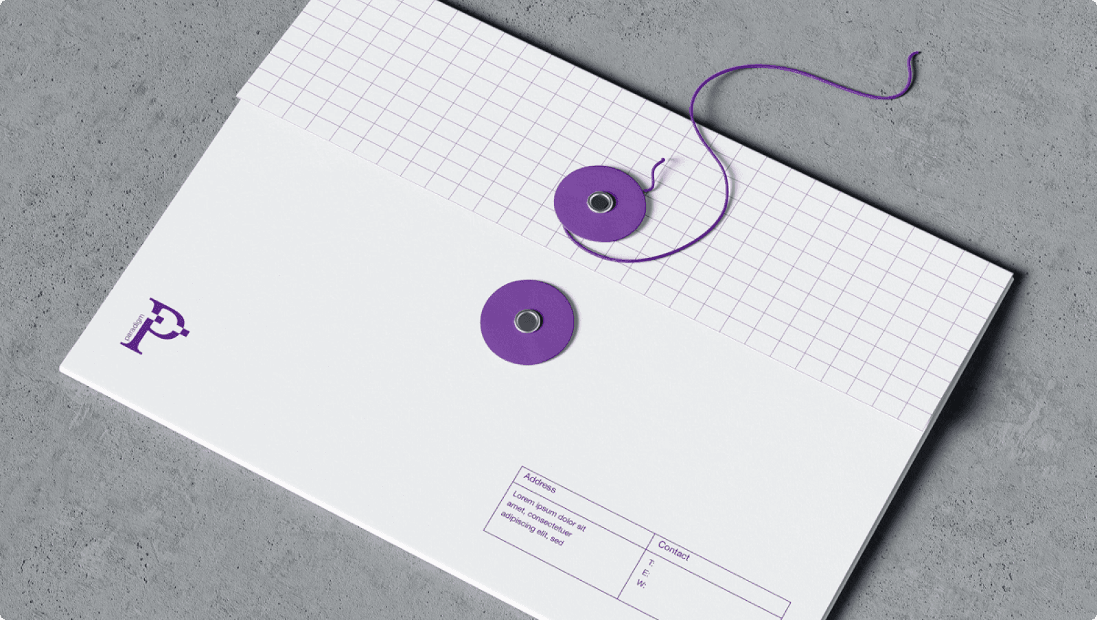 PARADIGM branding 1
